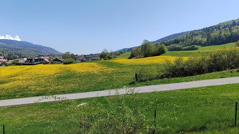 Colocation queer friendly à Vallorbe  100 m², vue nature et jardin (2)