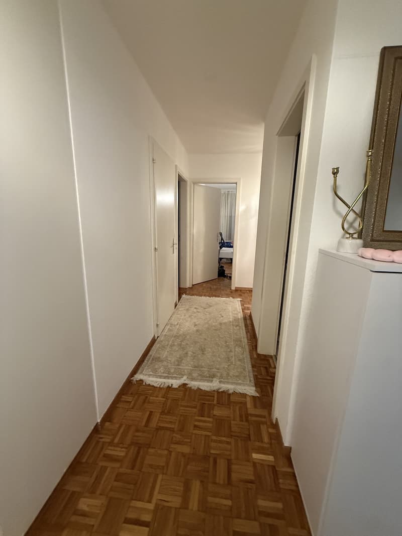 Appartement de 4,5 pièces à Fribourg pour 2030 CHF (1)