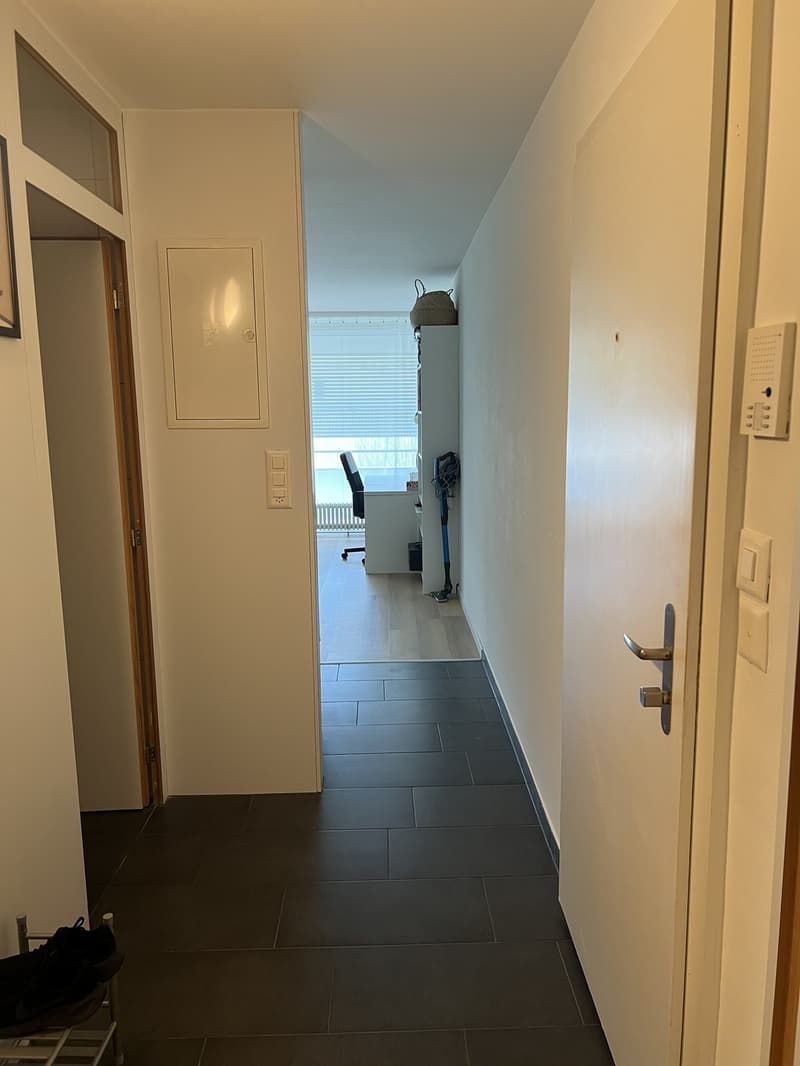 2-Zimmer-Möblierte-Wohnung Nähe Bahnhof Olten (5)