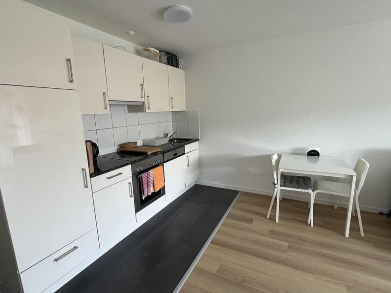 2-Zimmer-Möblierte-Wohnung Nähe Bahnhof Olten (2)