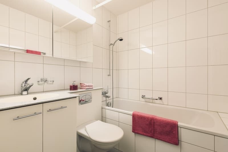 Nachmieter gesucht: 3.5-Zimmer-Wohnung in Zilstrasse 6a 9016 St. Gallen ab 01.10.2026 (2)