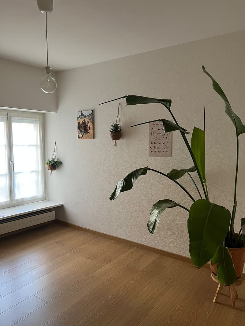 Schönes WG-Zimmer in 2er WG zu vermieten (5)
