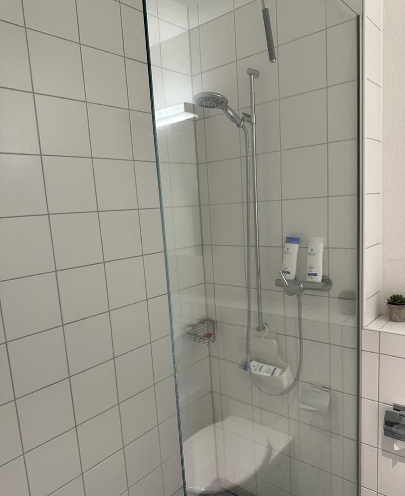 Nachmieter gesucht per 1. November 2026 grosszügige 4.5-Zimmer-Wohnung mit 110 m² in Oberwinterthur (6)