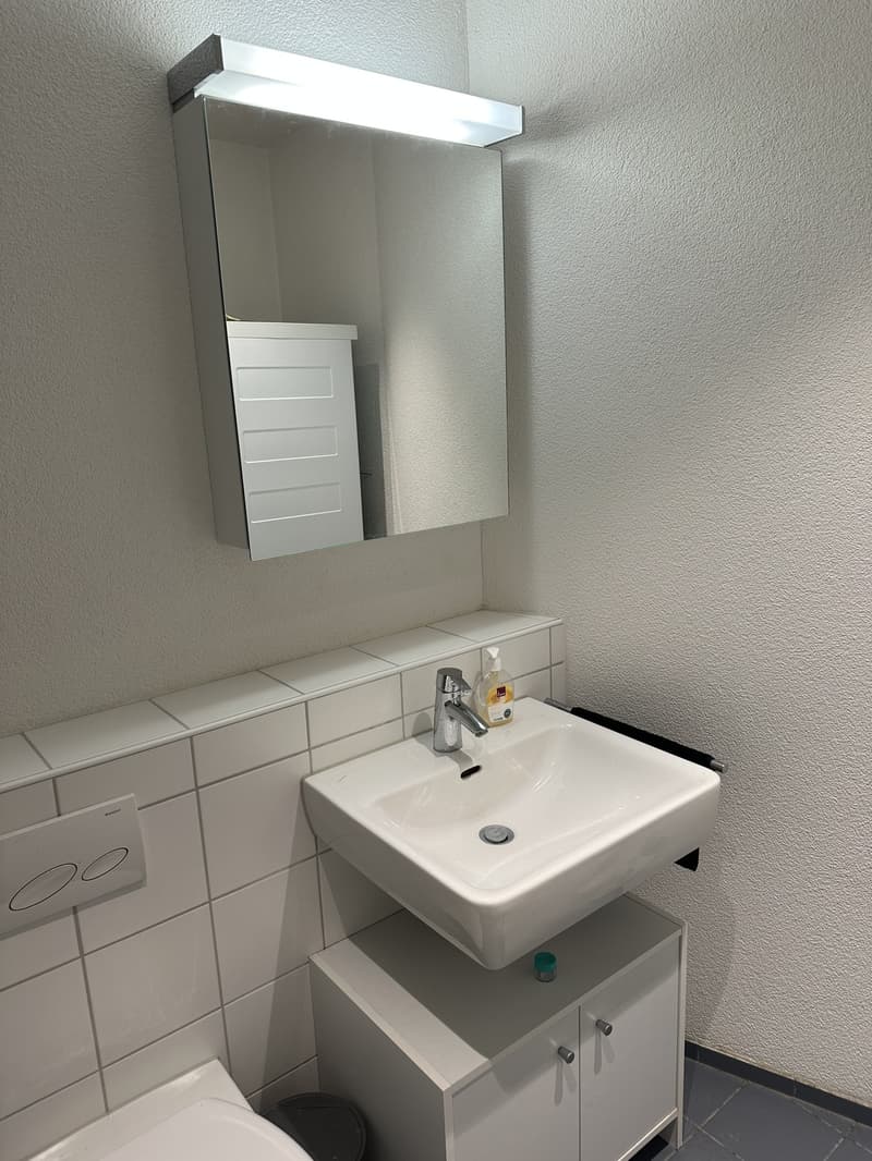 Nachmieter gesucht per 1. November 2026 grosszügige 4.5-Zimmer-Wohnung mit 110 m² in Oberwinterthur (9)