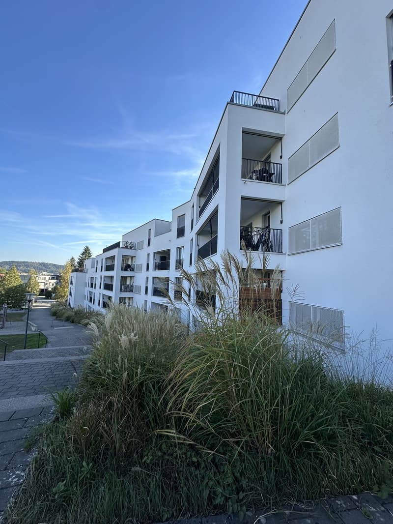 Nachmieter gesucht per 1. November 2026 grosszügige 4.5-Zimmer-Wohnung mit 110 m² in Oberwinterthur (2)