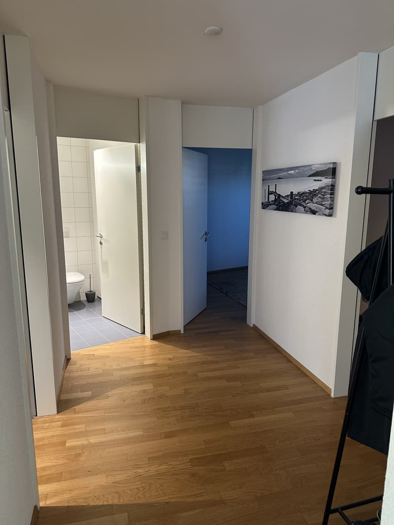 Nachmieter gesucht per 1. November 2026 grosszügige 4.5-Zimmer-Wohnung mit 110 m² in Oberwinterthur (4)