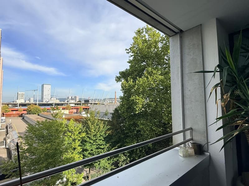 Möblierte 3.5-Zimmer-Wohnung, ca. 122 m² in Zürich 8004 1218+ Monate (6)