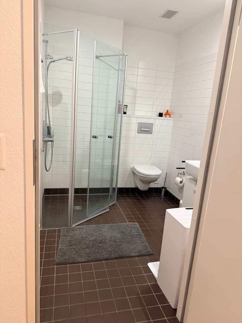 Möblierte 3.5-Zimmer-Wohnung, ca. 122 m² in Zürich 8004 1218+ Monate (8)