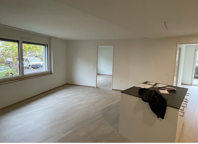 Wonderful 3.5-Room Apartment in Thalwil Im Lingg 2, 8800 Thalwil The photos and videos below show the apartment both empty, as it was when I moved in, and currently furnished. (8)