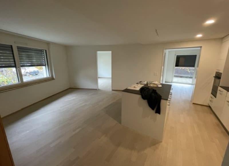 Wonderful 3.5-Room Apartment in Thalwil Im Lingg 2, 8800 Thalwil The photos and videos below show the apartment both empty, as it was when I moved in, and currently furnished. (9)