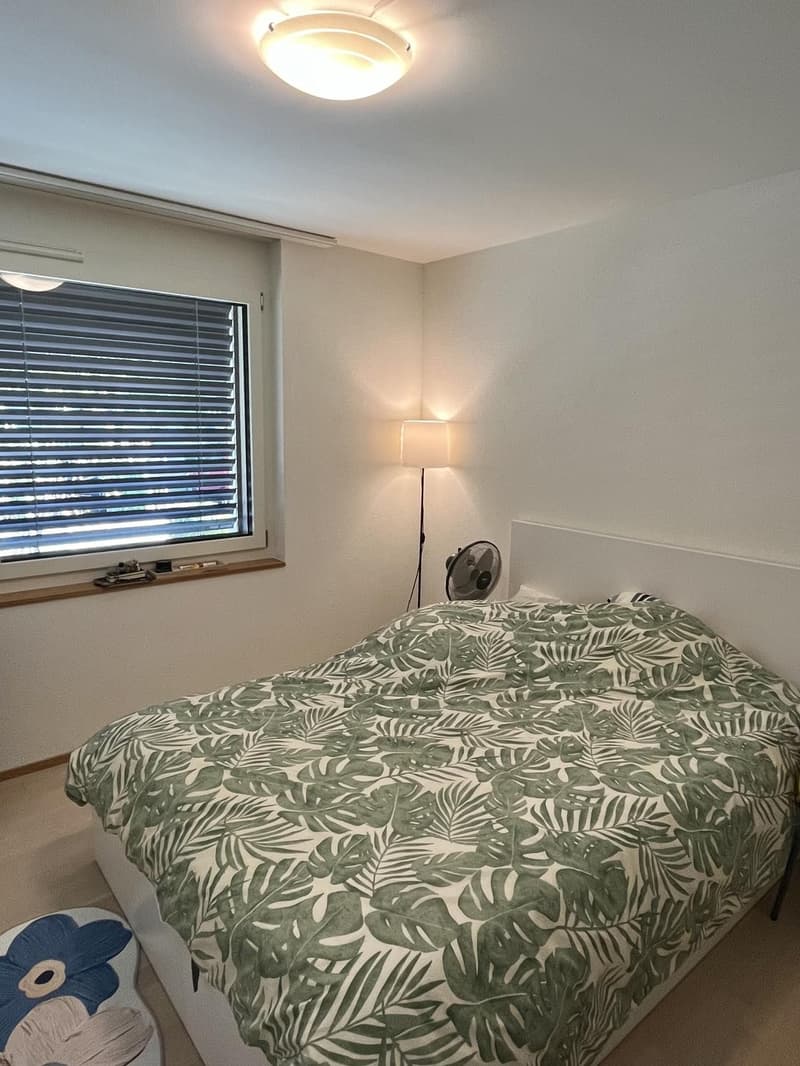 Wonderful 3.5-Room Apartment in Thalwil Im Lingg 2, 8800 Thalwil The photos and videos below show the apartment both empty, as it was when I moved in, and currently furnished. (3)