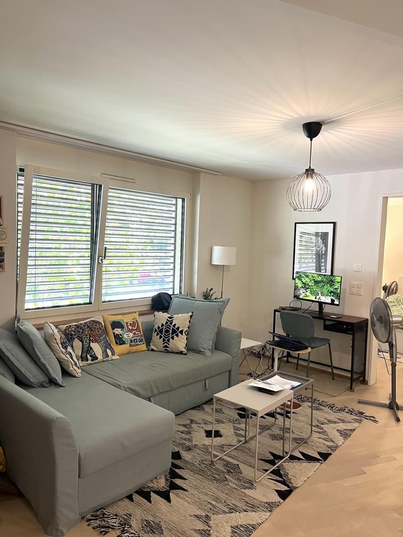Wonderful 3.5-Room Apartment in Thalwil Im Lingg 2, 8800 Thalwil The photos and videos below show the apartment both empty, as it was when I moved in, and currently furnished. (1)
