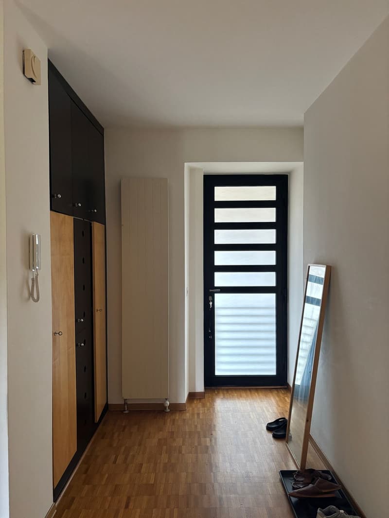 Appartamento luminoso 3.5 stanze (4)