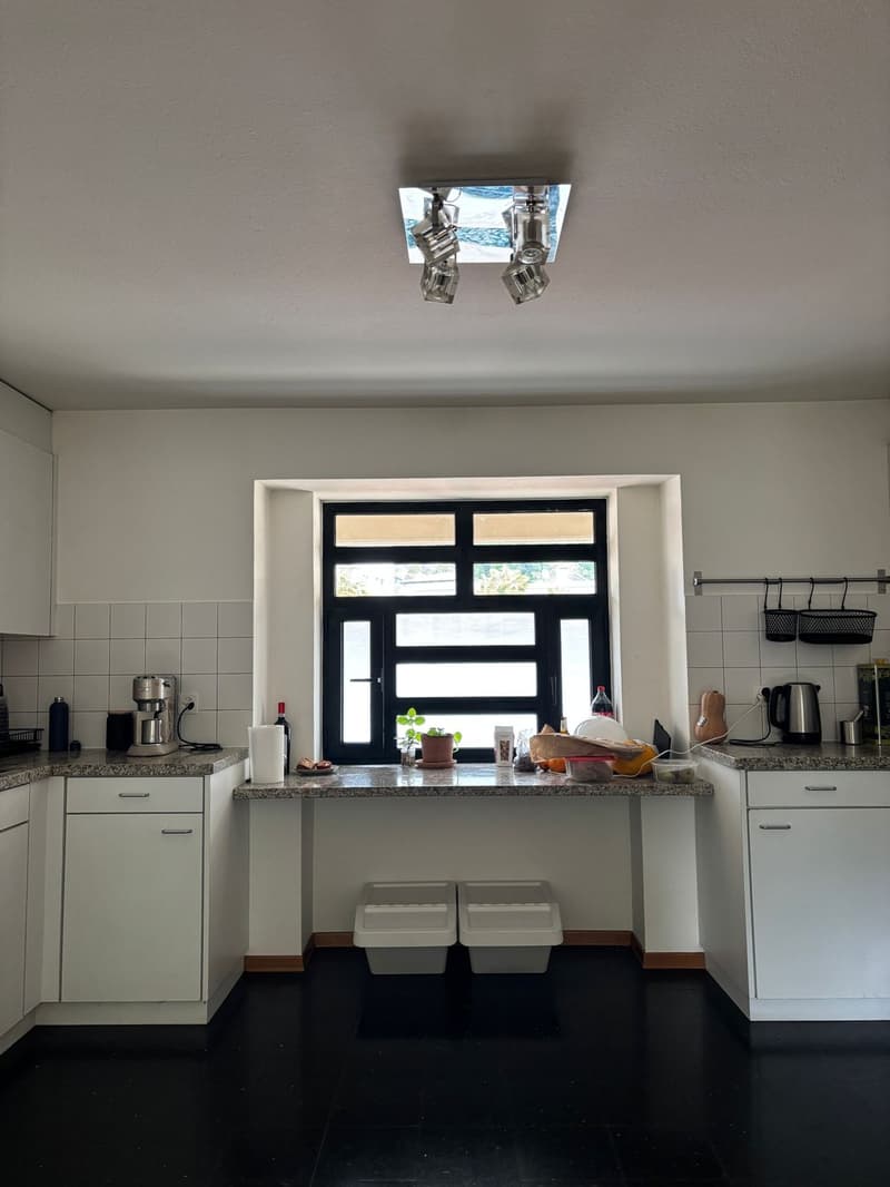 Appartamento luminoso 3.5 stanze (3)