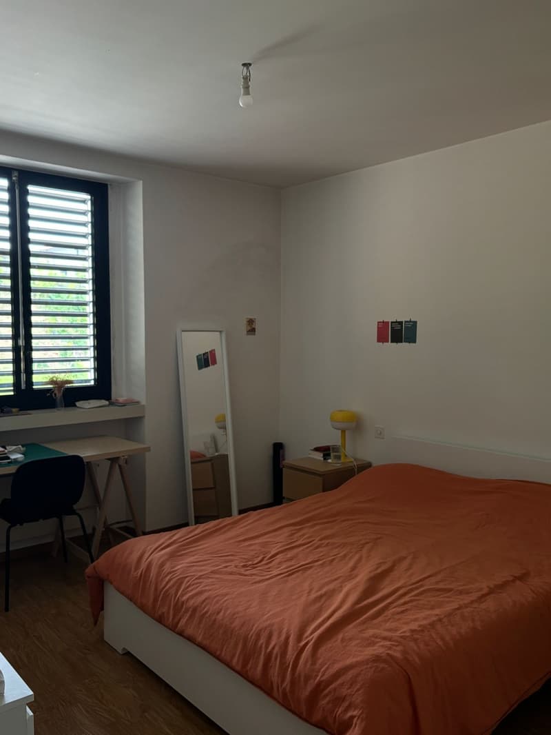 Appartamento luminoso 3.5 stanze (5)