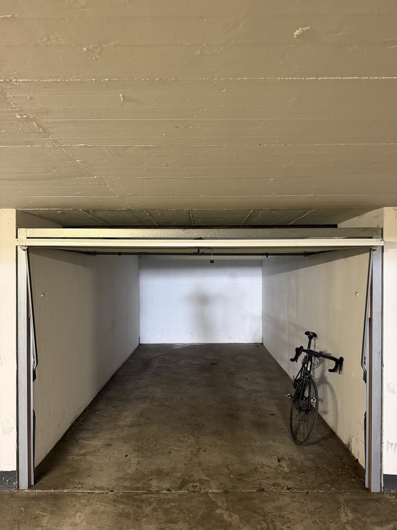 Appartement + Garage box (4)