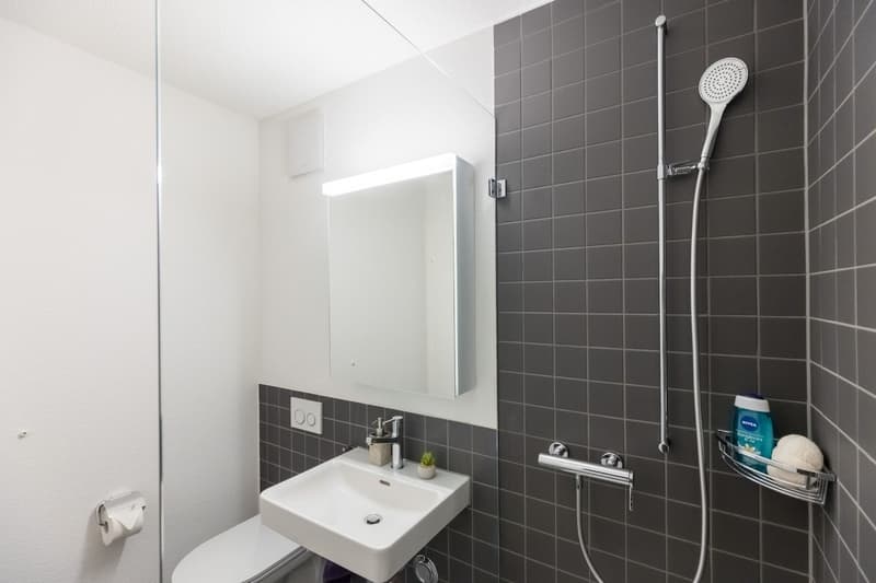 Helle, moderne Wohnung in zentraler Lage in Baden (8)