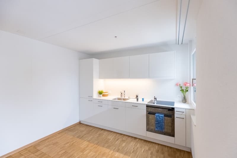 Helle, moderne Wohnung in zentraler Lage in Baden (6)