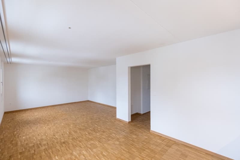 Helle, moderne Wohnung in zentraler Lage in Baden (5)