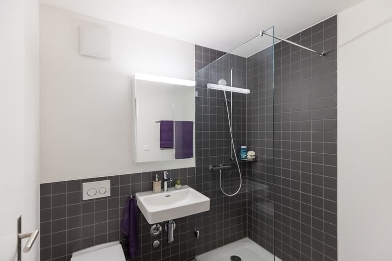 Helle, moderne Wohnung in zentraler Lage in Baden (7)