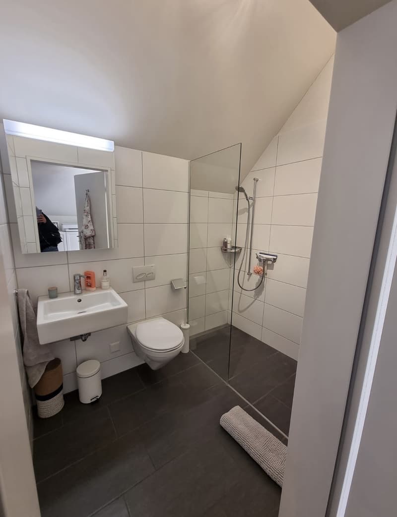 grosses WG-Zimmer (4)