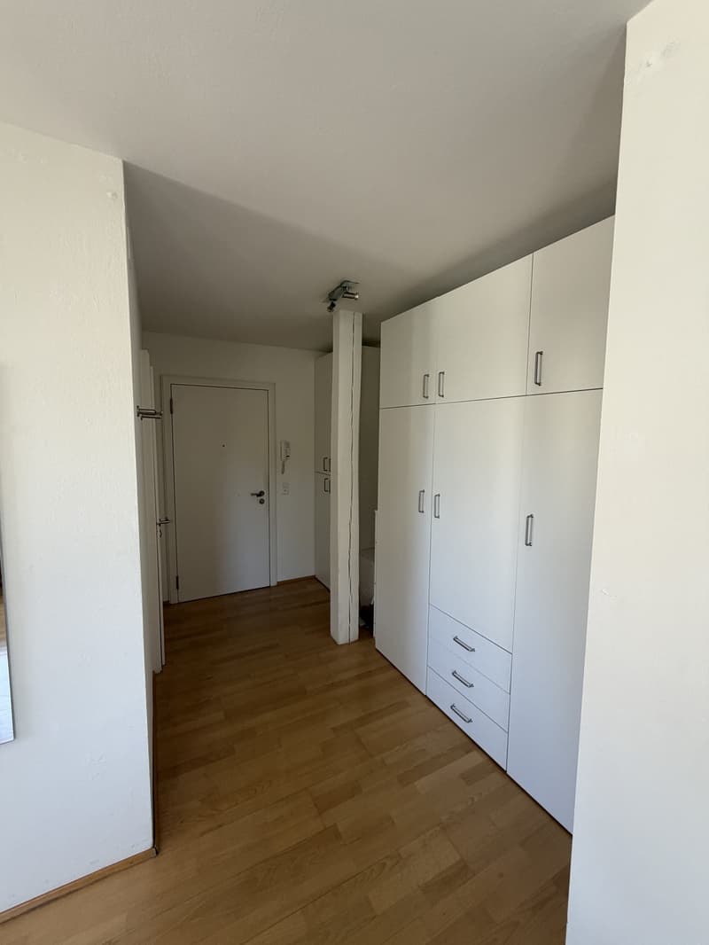 Charming 1-Room Apartment in the Heart of Enge (2)
