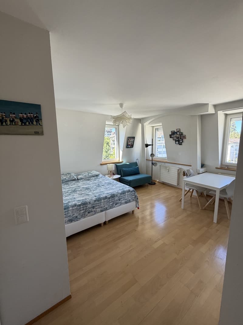 Charming 1-Room Apartment in the Heart of Enge (1)