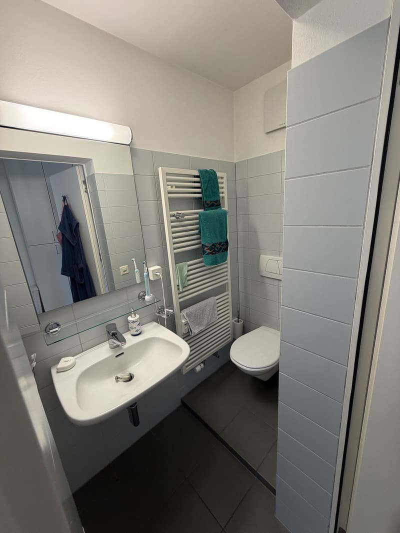 Charming 1-Room Apartment in the Heart of Enge (6)