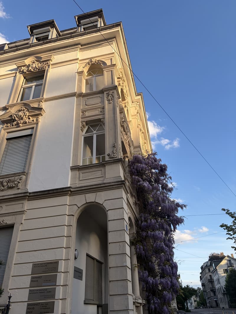 Charming 1-Room Apartment in the Heart of Enge (9)