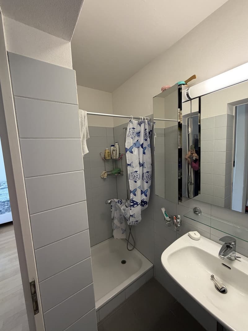 Charming 1-Room Apartment in the Heart of Enge (7)