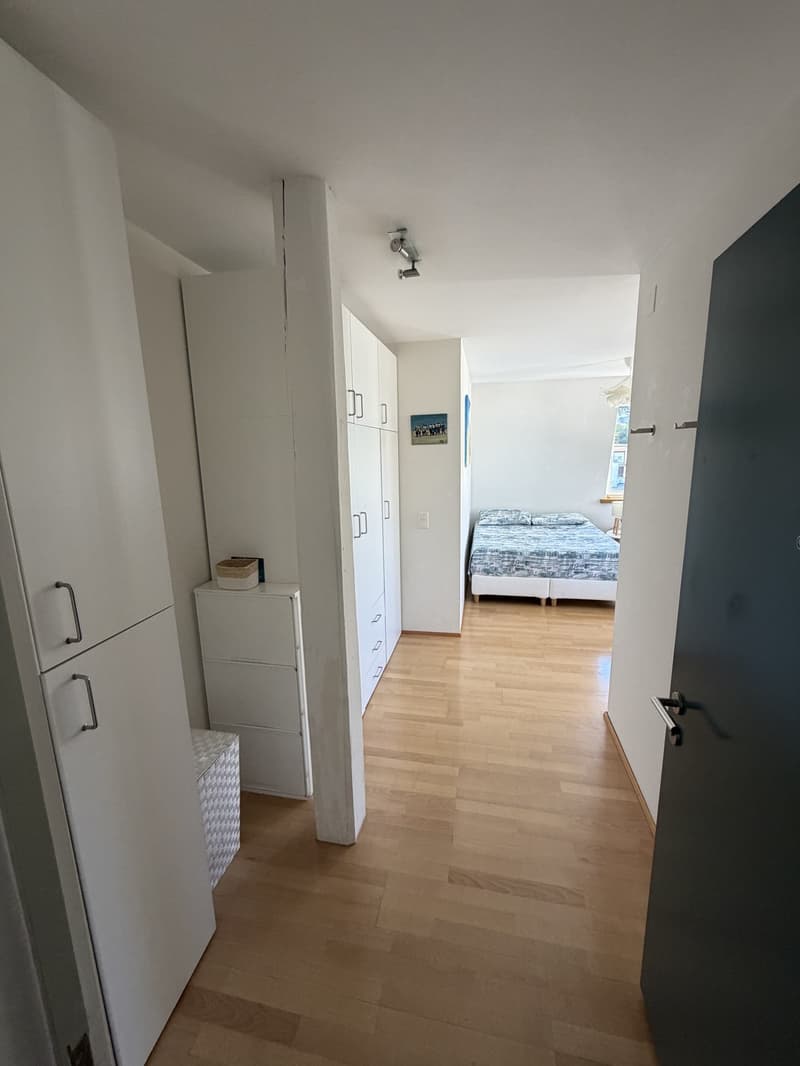 Charming 1-Room Apartment in the Heart of Enge (3)