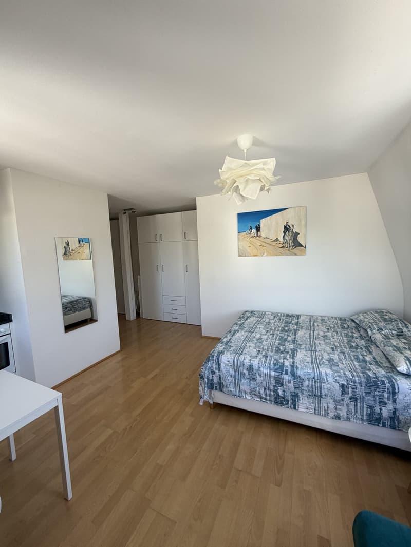 Charming 1-Room Apartment in the Heart of Enge (5)
