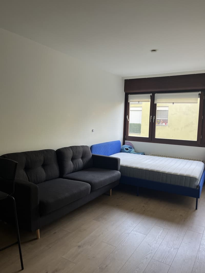 Appartement 1 ½ pièces, 1010 Lausanne (3)