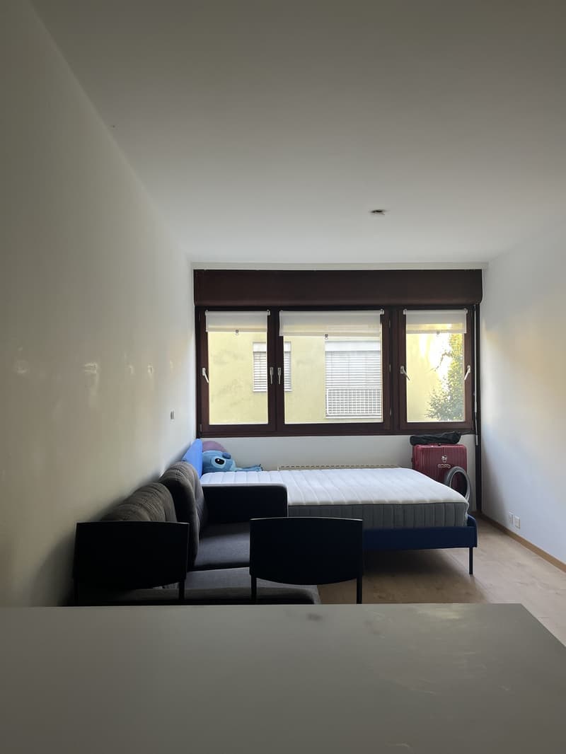Appartement 1 ½ pièces, 1010 Lausanne (2)