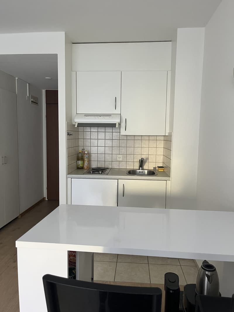 Appartement 1 ½ pièces, 1010 Lausanne (4)