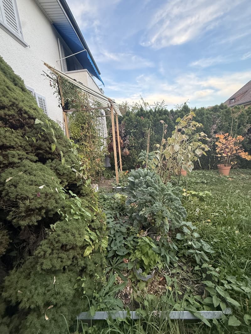 Room in a shared flat, 6010 Kriens (5)