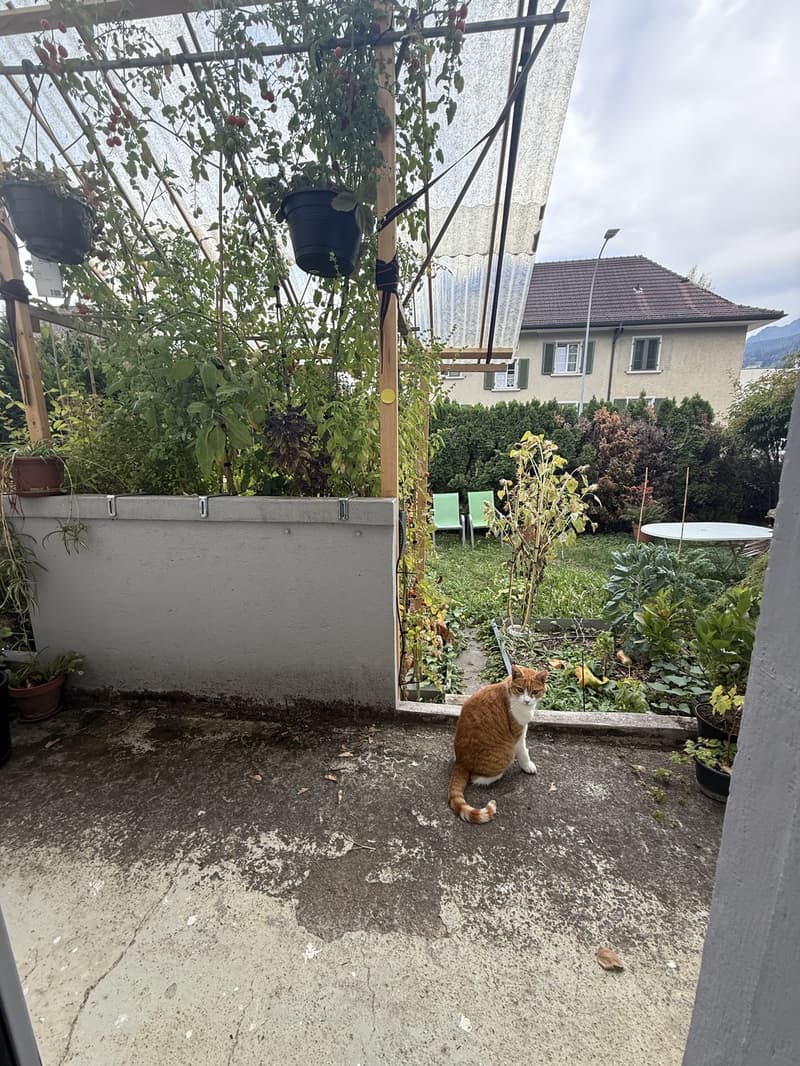 Room in a shared flat, 6010 Kriens (4)