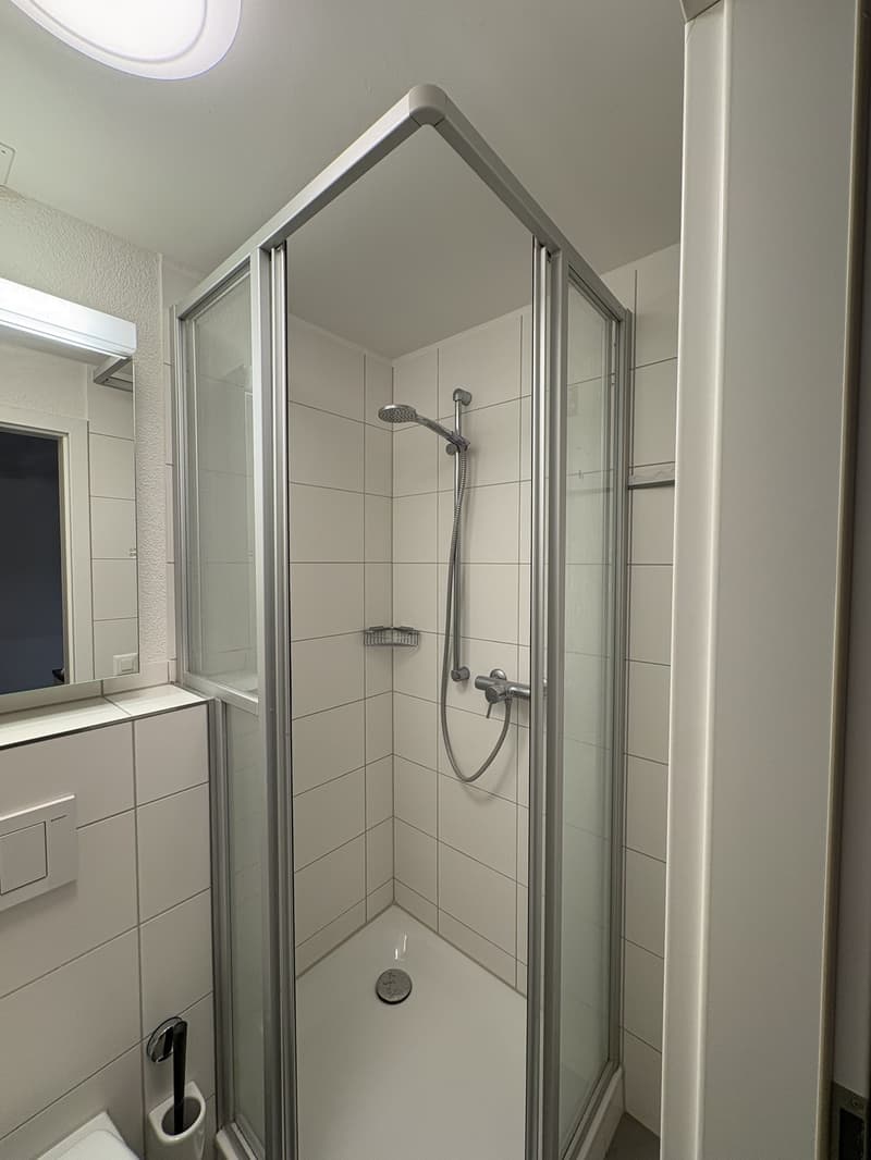 1 Zimmer-Wohnung in Zürich mieten (6)