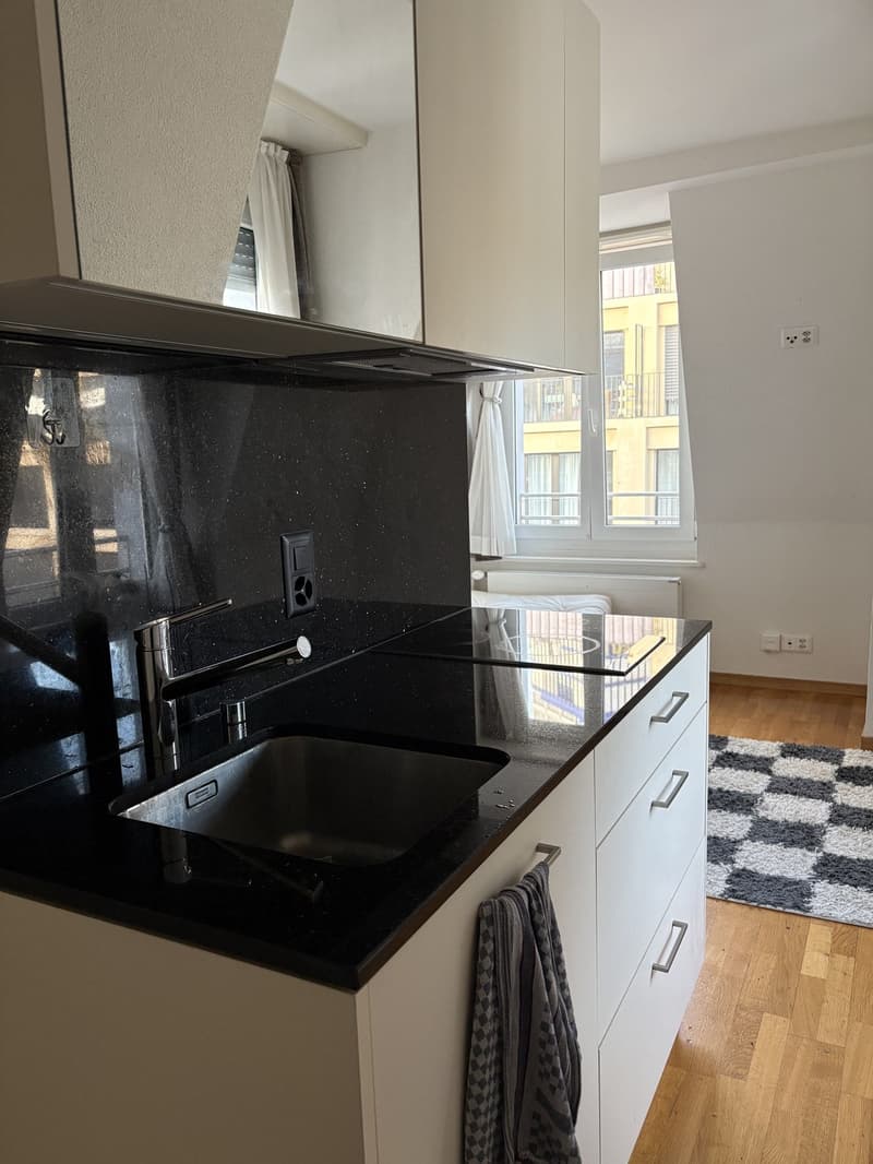 1 Zimmer-Wohnung in Zürich mieten (4)