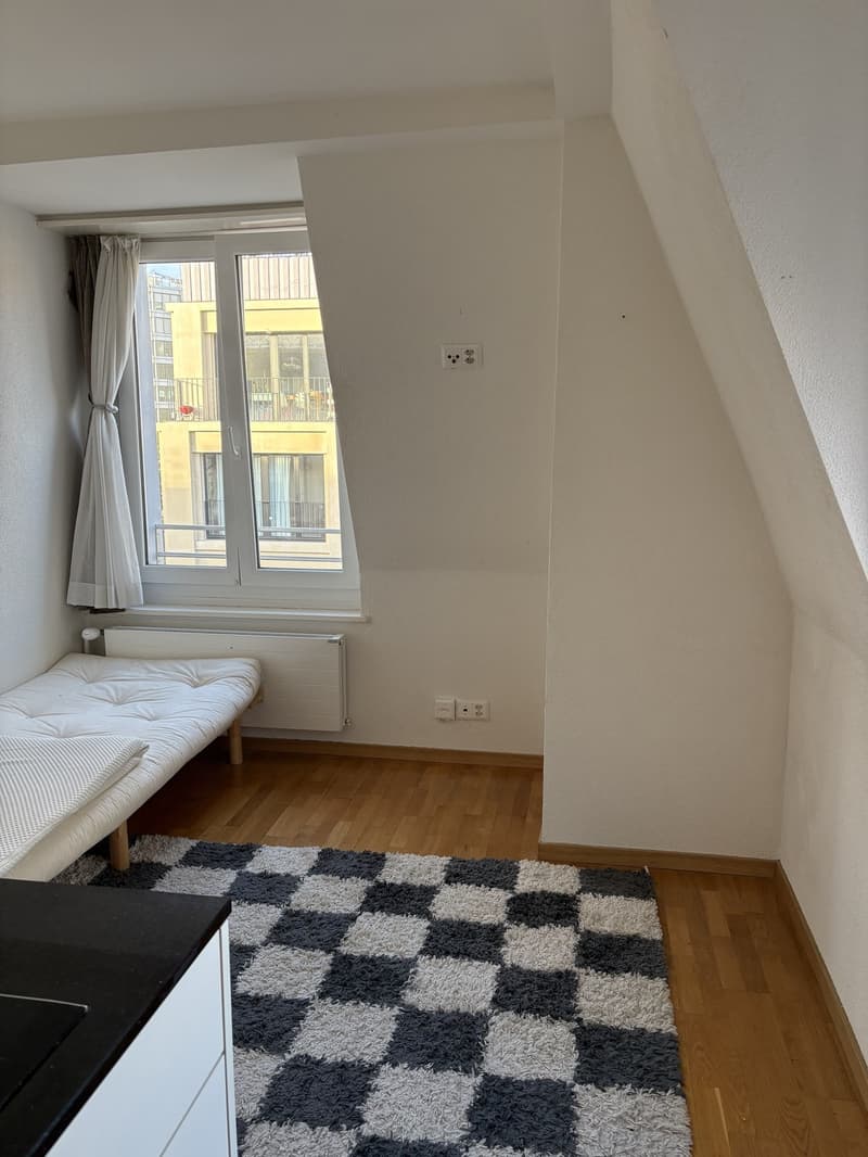 1 Zimmer-Wohnung in Zürich mieten (1)