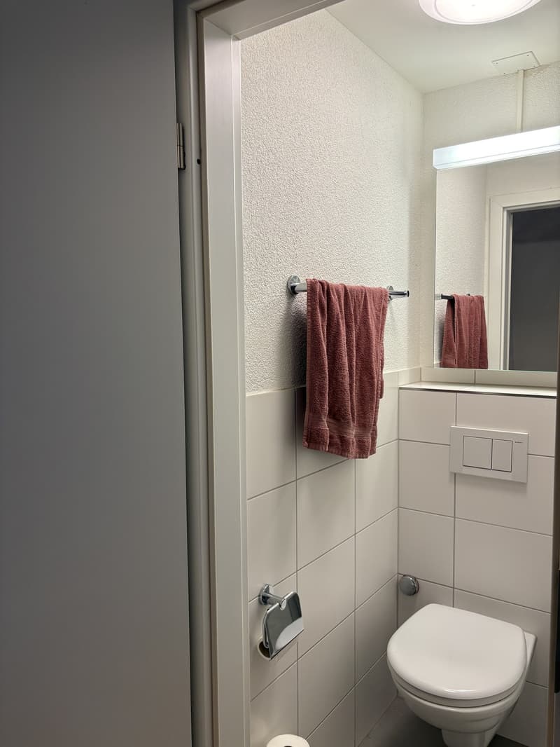 1 Zimmer-Wohnung in Zürich mieten (5)