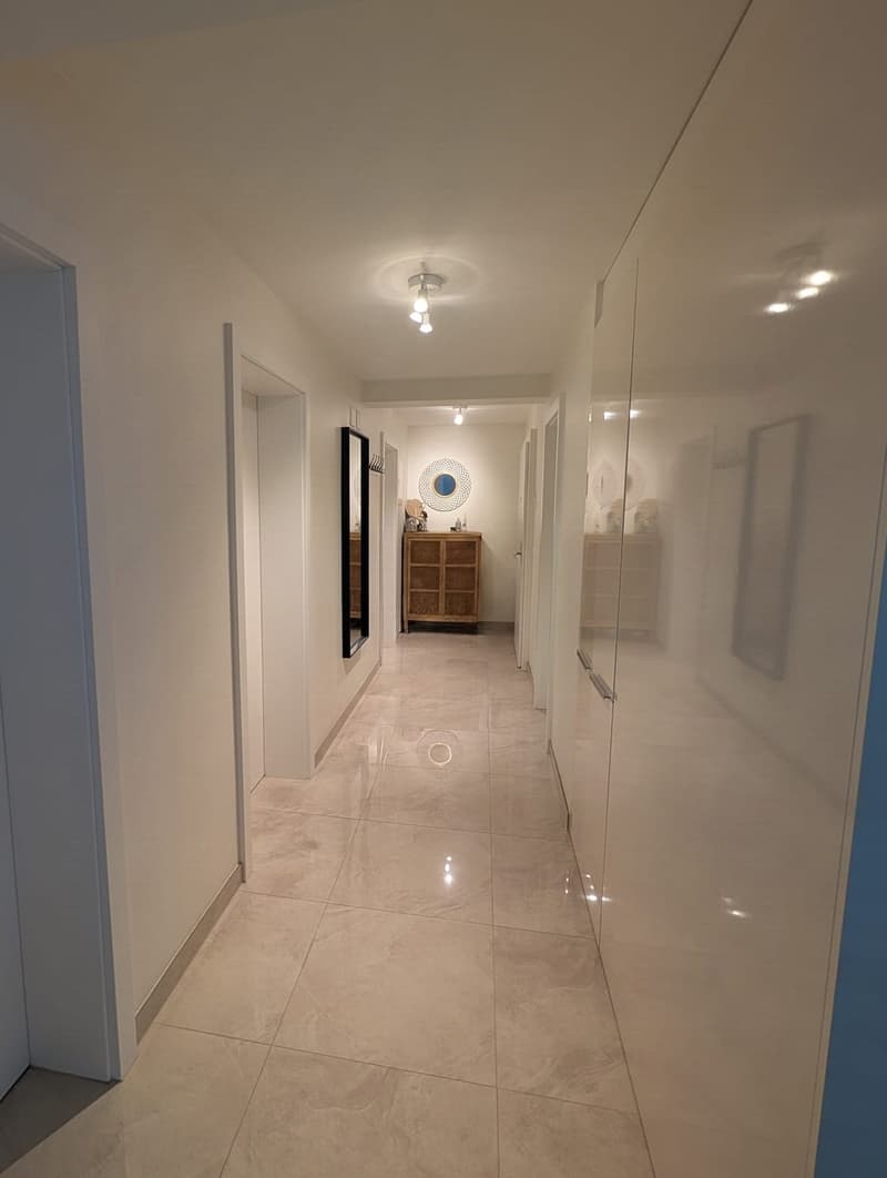 Spacious apartment 4½ room looking for a new tenant (4)