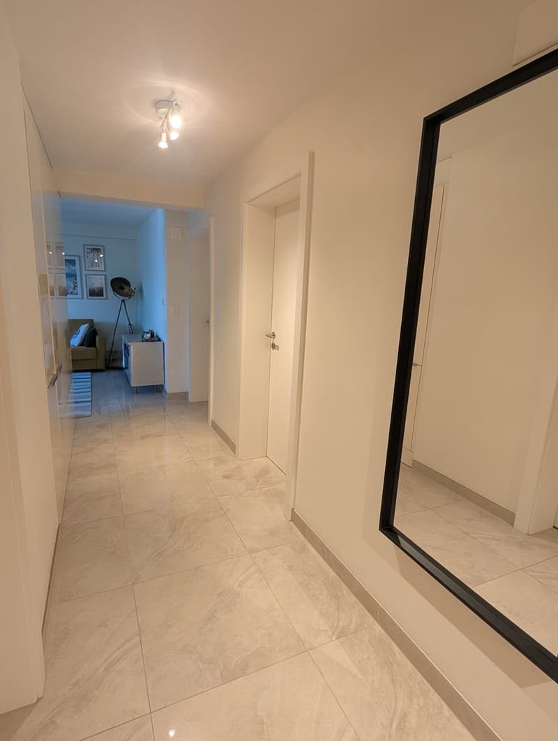 Spacious apartment 4½ room looking for a new tenant (5)