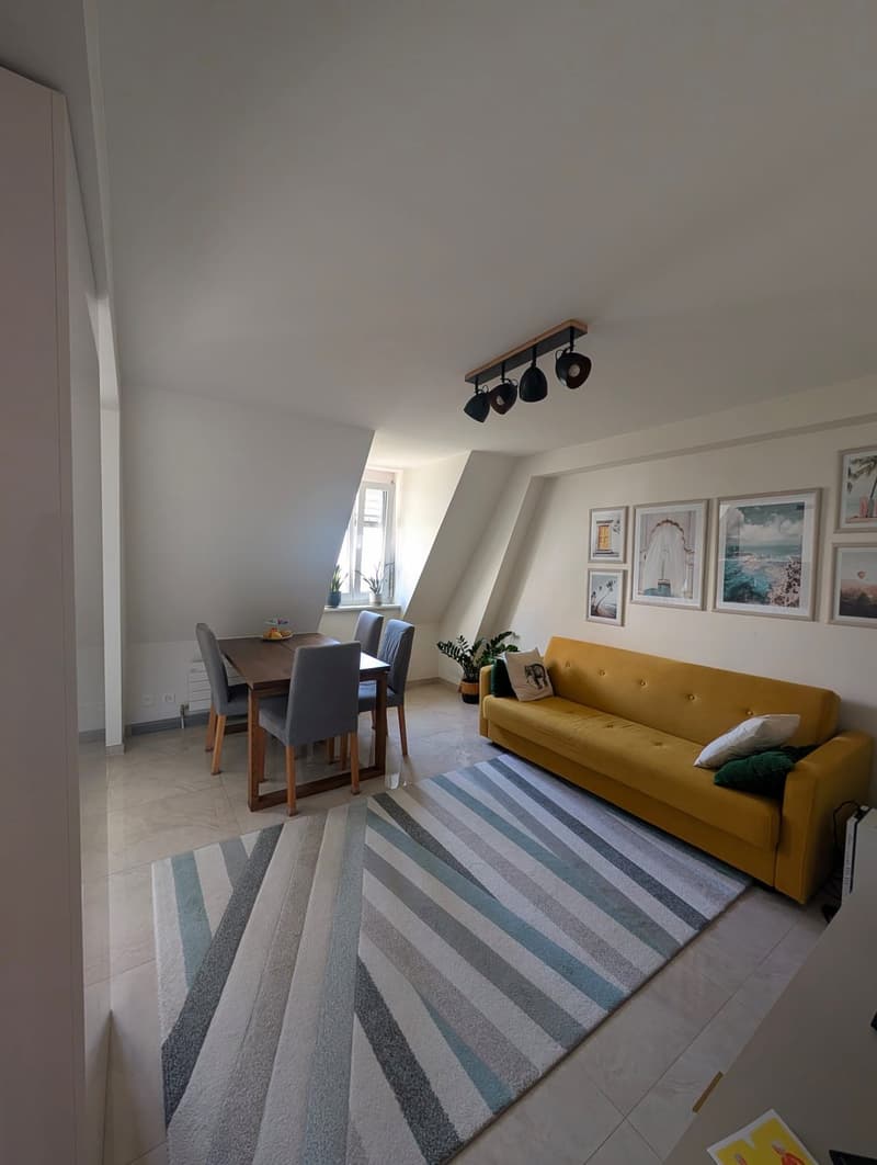Spacious apartment 4½ room looking for a new tenant (6)