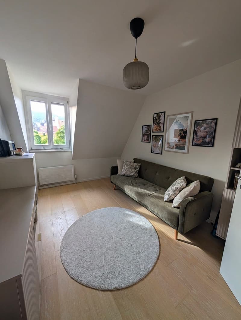 Spacious apartment 4½ room looking for a new tenant (3)