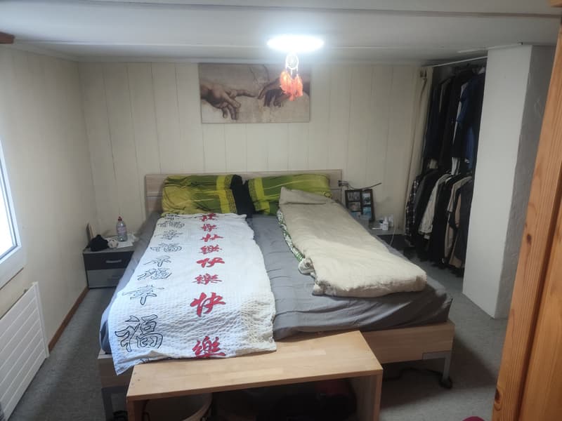 Gemütliche 2.5-Zimmer-Wohnung in Lauerz mit wunderschönem Seeblick (8)
