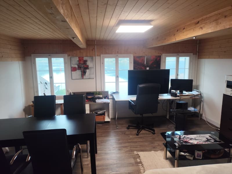 Gemütliche 2.5-Zimmer-Wohnung in Lauerz mit wunderschönem Seeblick (1)