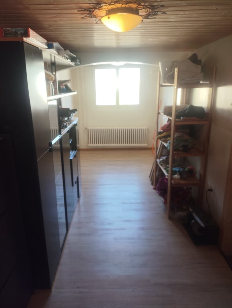 Gemütliche 2.5-Zimmer-Wohnung in Lauerz mit wunderschönem Seeblick (11)