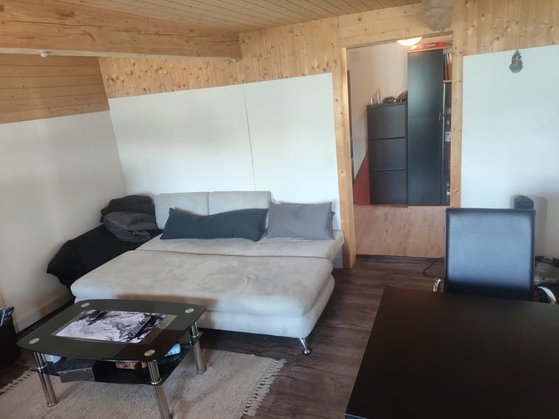 Gemütliche 2.5-Zimmer-Wohnung in Lauerz mit wunderschönem Seeblick (4)