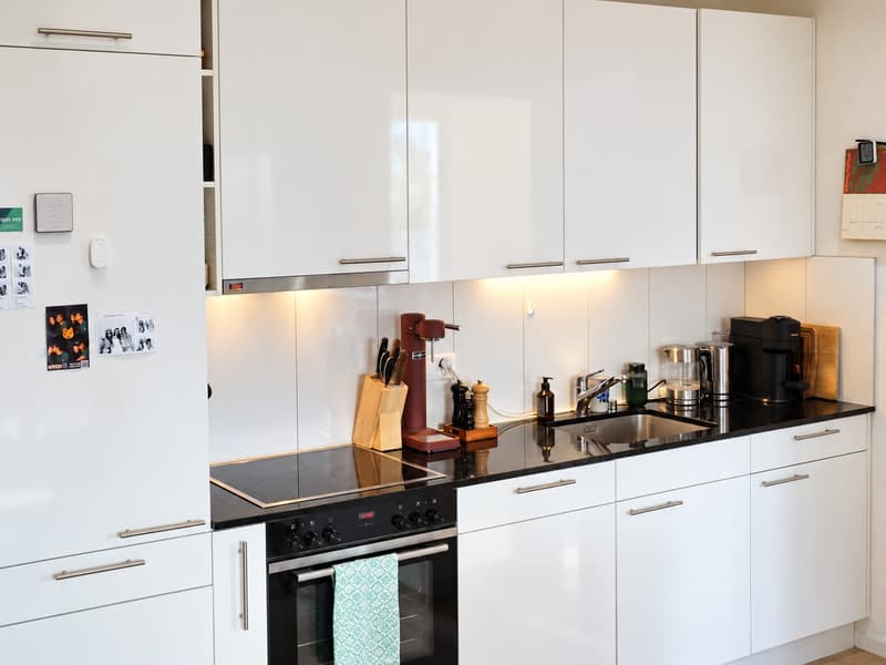 Renovated 2 room apartment in central Wiedikon with unique view (6)